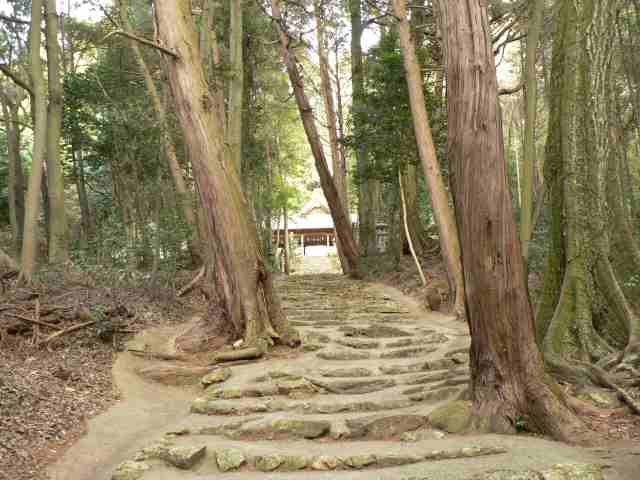 大木も有り古い神社のムードがある