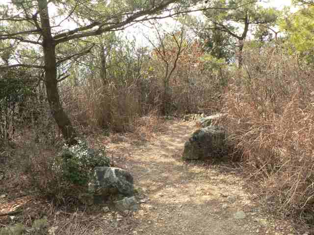 鳩吹山頂手前のピーク