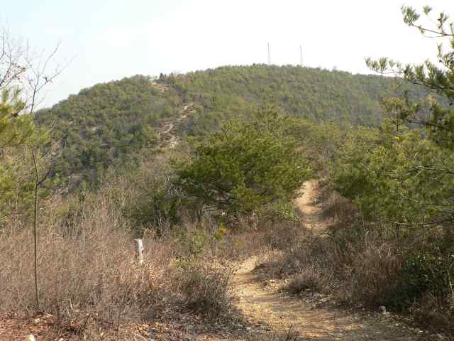 鳩吹方面登山道脇にロープが張られている