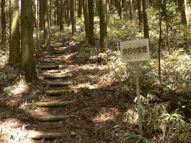 山の指標は無い