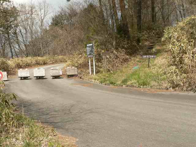 幅は狭いが舗装された良い道