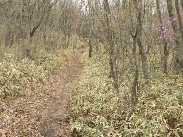 山の指標は無い