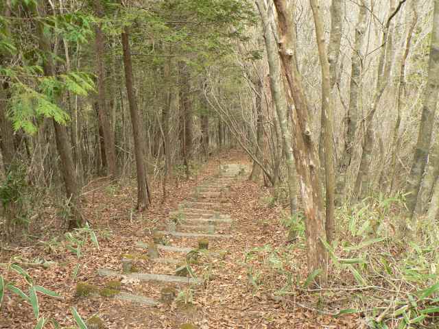 幅は狭いが舗装された良い道