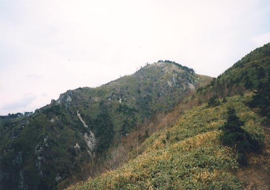 尾根下の斜面から箱岩山