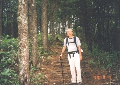 鬱蒼とした大木の中の登山道も多い