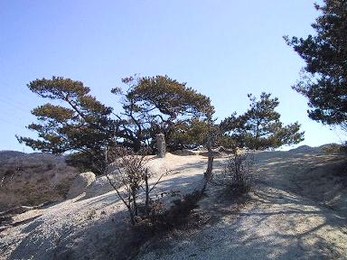 白い花崗岩の「元岩巣山」山頂
