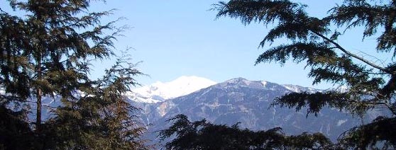 山頂の笹の中から林越しにやっと見える「御嶽山」、右は「高時山」