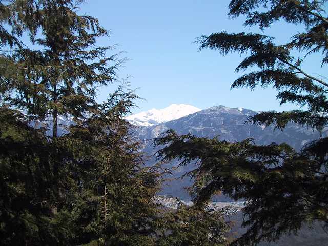 山頂の笹の中から林越しにやっと見える「御嶽山」、右は「高時山」