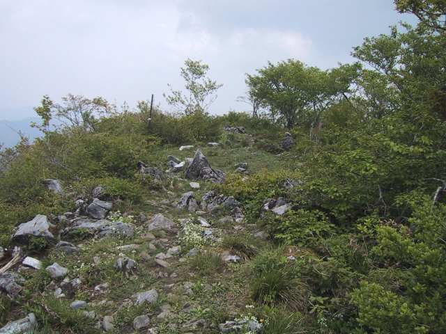 石灰石が林立している眺望に優れた山頂