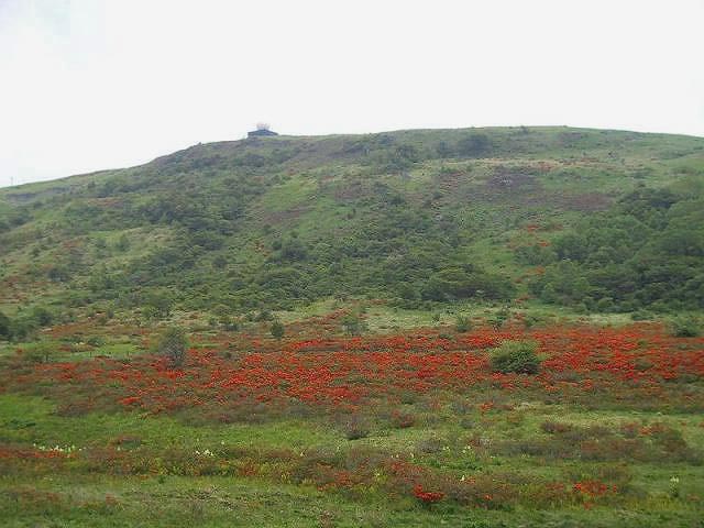 レンゲツツジが群生している湿原の向こうに
車山山頂の気象観測ドーム