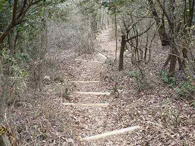 土留めの木による階段の道は必要無いのでは