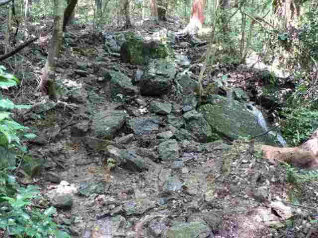 結構岩が出てきてワイルドな登山道だ