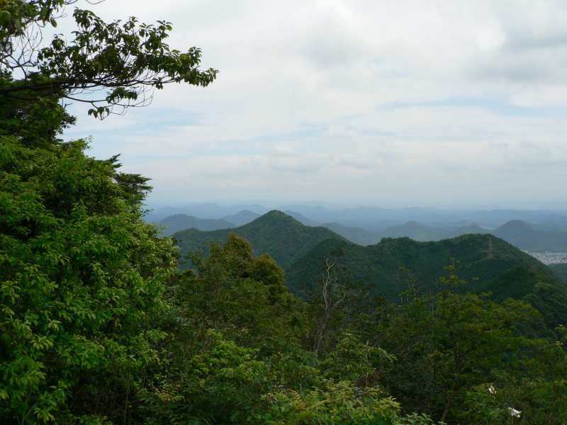 低山の夏は眺望を得るのは難しい