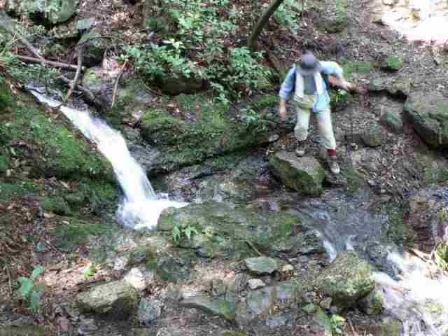 普段は水量が無いと思われる